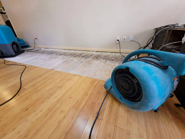 Professional Water Damage Repair technician working in Sumerduck, VA
